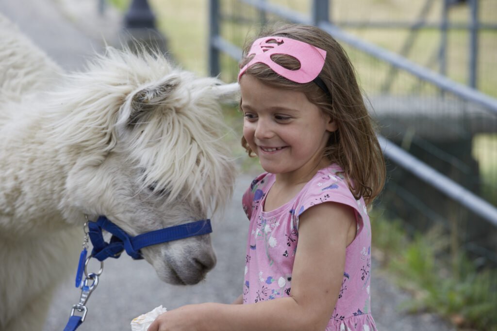 Alpaca con bambina